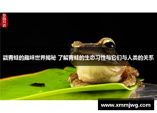 戳青蛙的趣味世界揭秘 了解青蛙的生态习性与它们与人类的关系